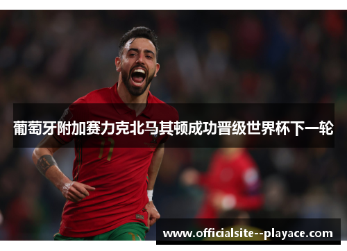 葡萄牙附加赛力克北马其顿成功晋级世界杯下一轮
